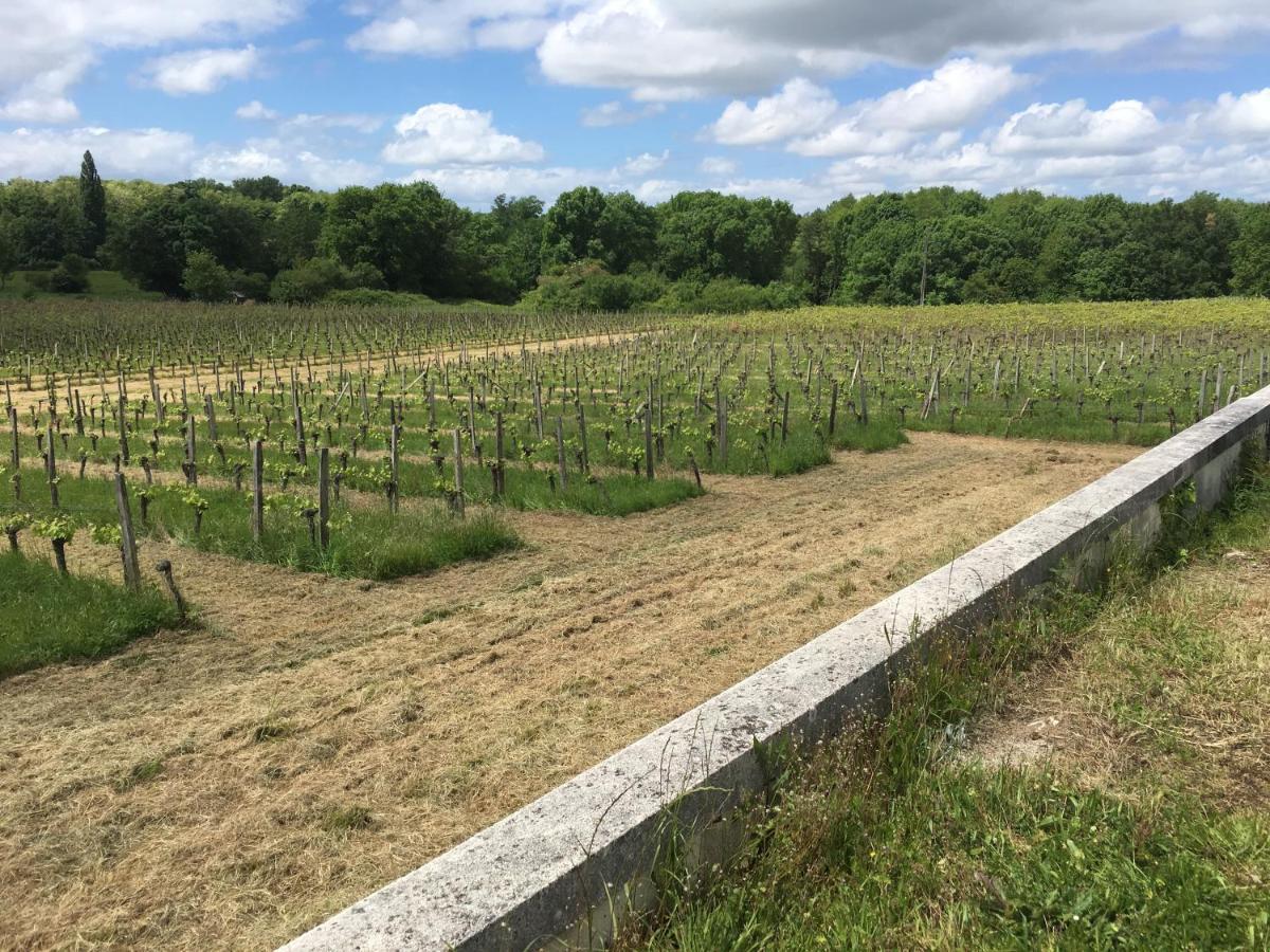 Dom Peyreton Prestige Set In A Charming Wine Villegouge